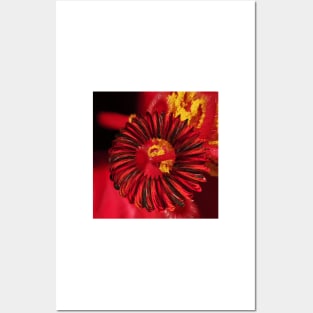 mobius ring red and gold hibiscus flower Posters and Art